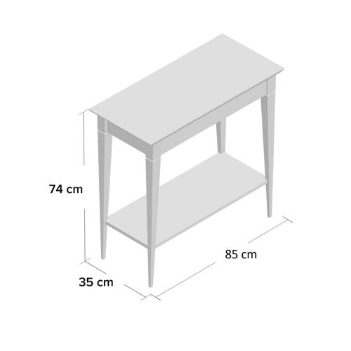 MAMO Console Table with Shelf 105x35cm Dusky Pink Black Legs